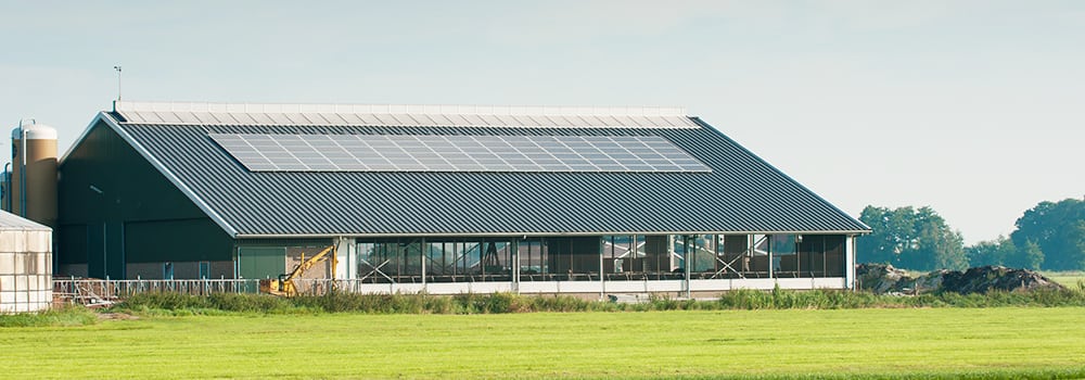 Alderon application on factory - aplikasi alderon pada atap pabrik