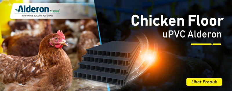 Lantai Kandang Ayam Alderon, Apa Sih Keunggulannya?